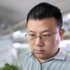 围绕植物性别生态学